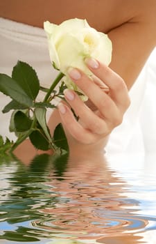 beautiful woman hand with rosebud in water