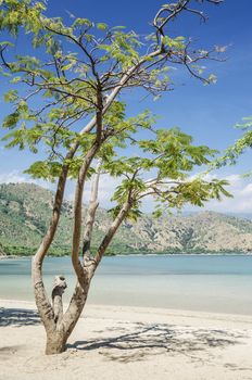 areia branca beach near dili east timor, timor leste