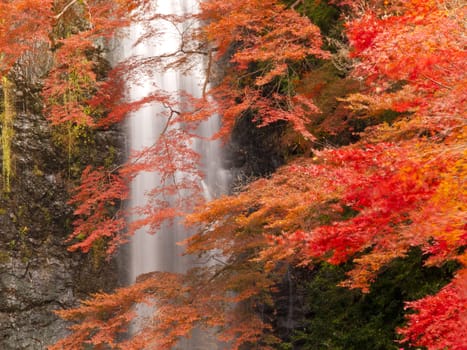 Minoh waterfall in autumn, Osaka, Japan