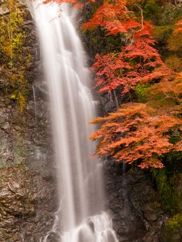 Minoh waterfall in autumn, Osaka, Japan