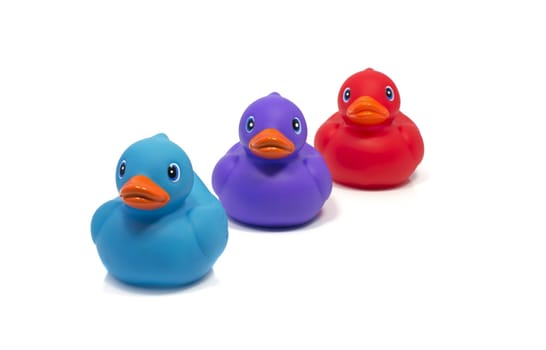 blue pink and red bath duck isolated on white