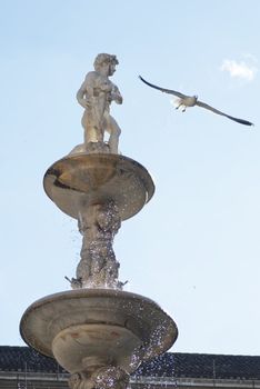 Pretoria Fountain with wather drops in Palermo, Sicily. Marble statue and seagull