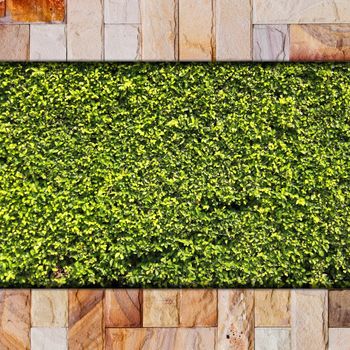 Stone brick and green leaf for background