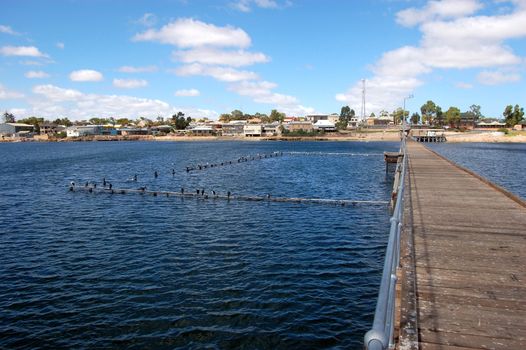 Town pier with birds, South Australia