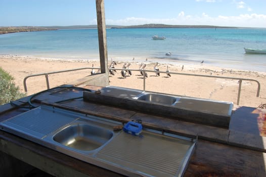 Sink for cleaning fish after fishing, South Australia