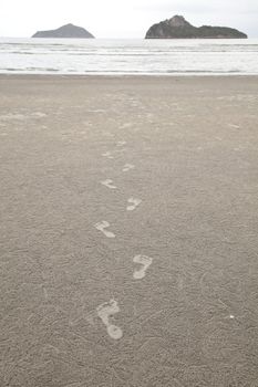 Imprint of barefoot ahead to the sea