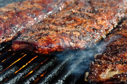 Pork Ribs on the Grill