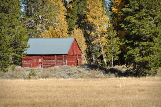 Red Cabin in the Fall