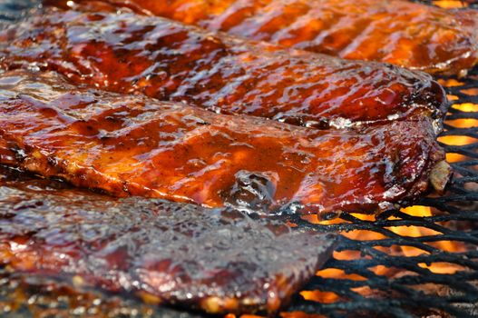 Pork Ribs on the Grill