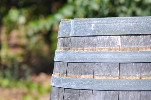 Wine Barrel and Vineyard in Background