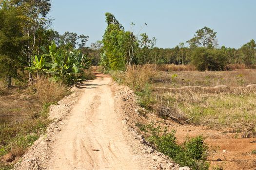 The dirt roads of rural villagers in Thailand.