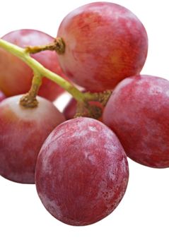 Bunch of red grapes on white background