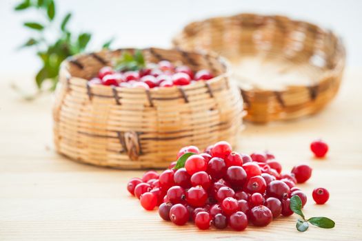 Fresh red cranberries with leaves in basket