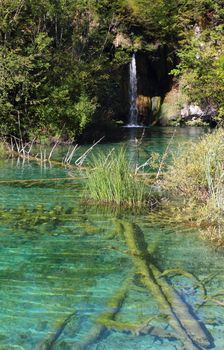 Small lake with crystal clear waters and a waterfall in the distance in Plitvice Lakes Park .