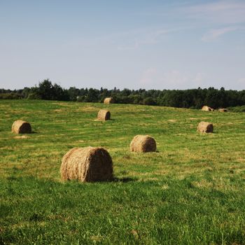 hay on field under blue sky