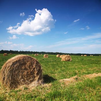 hay on field under blue sky