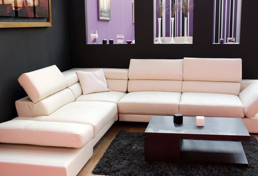 living room with modern furniture
