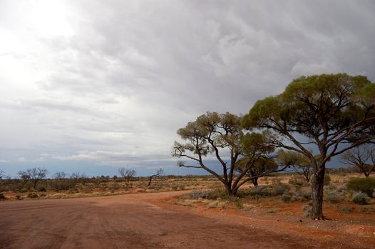 Rest area in Australian outback, Stuart highway, South Australia