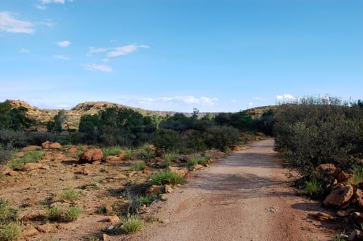 Walking track nearby Alice Springs, Nothern Territory, Australia