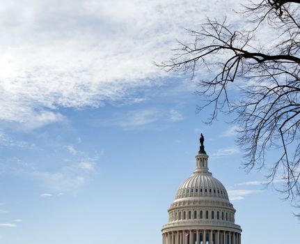 Dome of Capitol in Washington DC with winter branches and blue sky and clouds