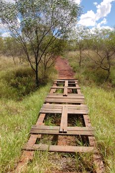 Walking track in the bush, Australia, Northern Territory