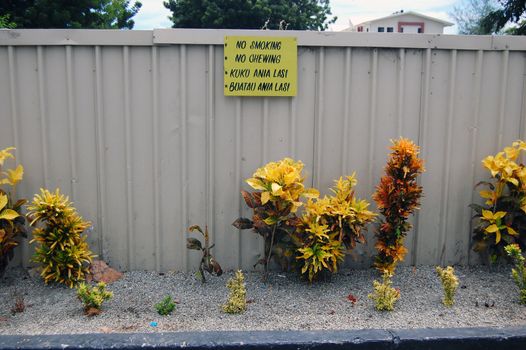 Street sign "No chewing betel nut" in Port Noresby, Papua New Guinea