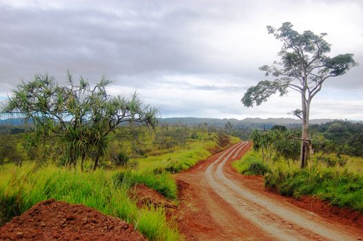 Road at red dirt nearby Sogeri village, Papua New Guinea