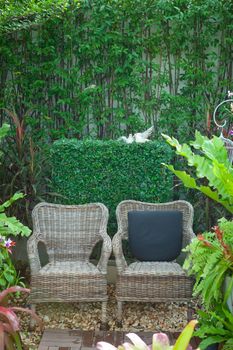 Two wood bench in the summer garden