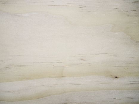 Background of wood texture 
