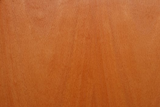 Seamless pine tree floor texture