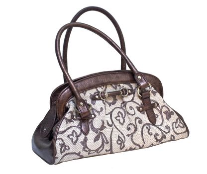 Beautiful female handbag on white