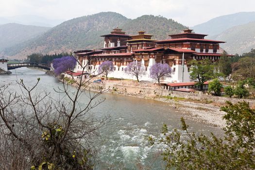 punakha monastery in punakha, bhutan