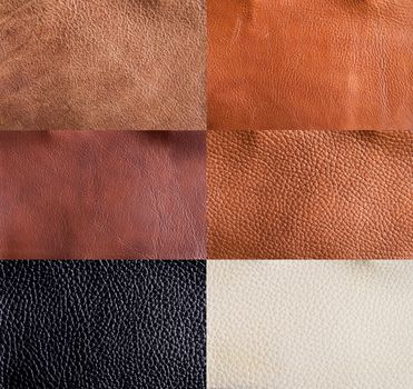 collection of leather textures set 