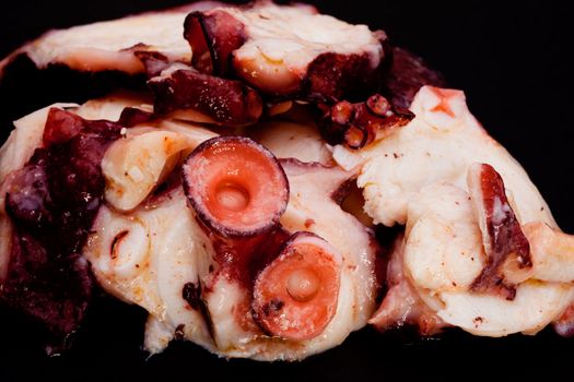 Octopus boiled in slices