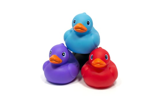blue pink and red batch ducks isoalted on white