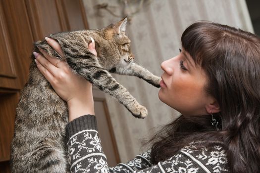 The girl holds on hands of a grey cat