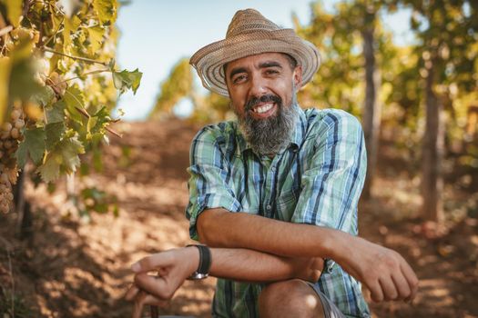 Handsome smiling wine maker with straw hat at a vineyard. Looking at camera.