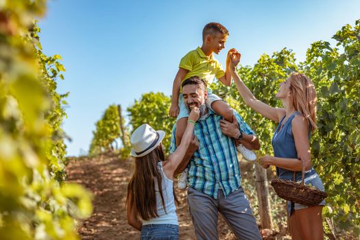 Beautiful young smiling family of four having fun at a vineyard.