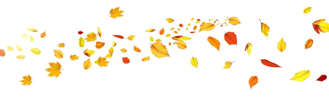 Beautiful autumn background with yellow and red leaves.