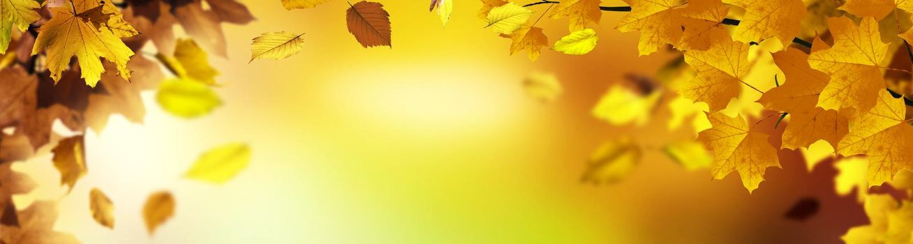 Beautiful autumn background with yellow and red leaves.