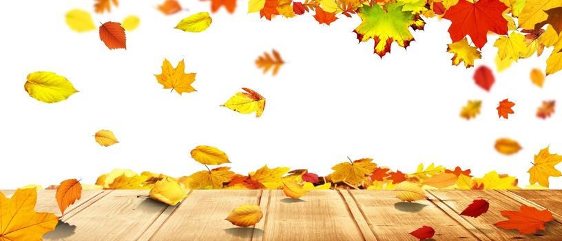 Beautiful autumn background with yellow and red leaves.