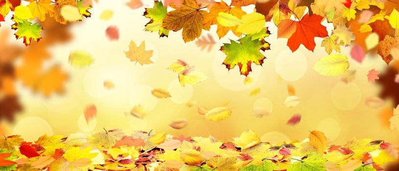 Beautiful autumn background with yellow and red leaves.