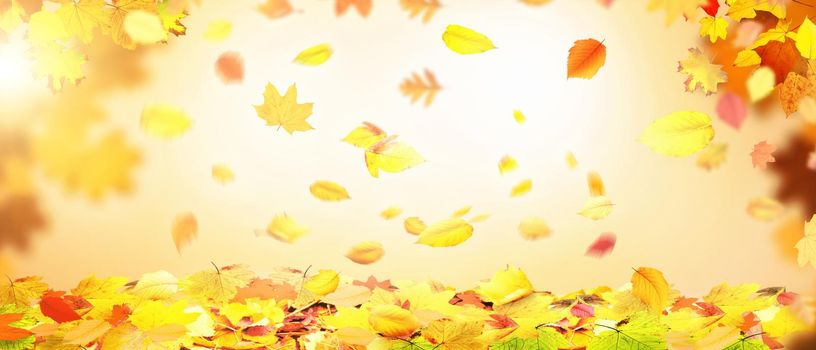 Beautiful autumn background with yellow and red leaves.