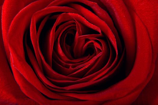 Valentines Day background. Love and Valentine's Day concept.