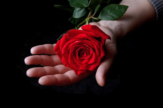 Valentines Day background. Love and Valentine's Day concept.