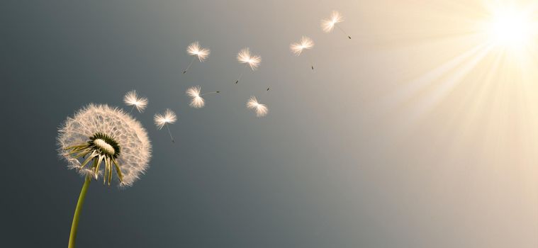 Beautiful dreamy spring nature background with dandelion