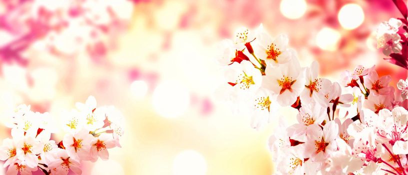 Beautiful nature scene with blooming flowers tree.