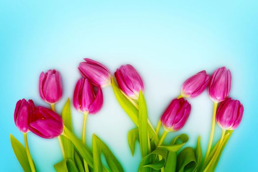 Spring concept of the celebration. Greeting card for women's Day