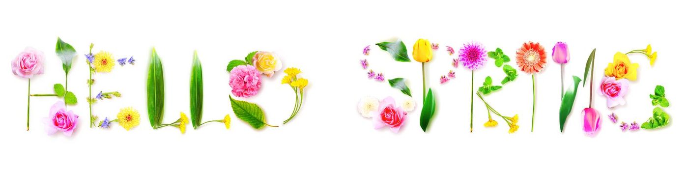 SPRING decorative inscription with letters. Creative spring concept.