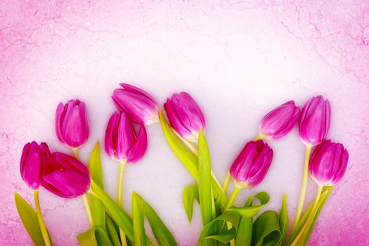 Spring concept of the celebration. Greeting card for women's Day